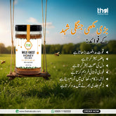 Pure Wild Forest Honey Big Bee / جنگلی شہد  بڑی مکھی